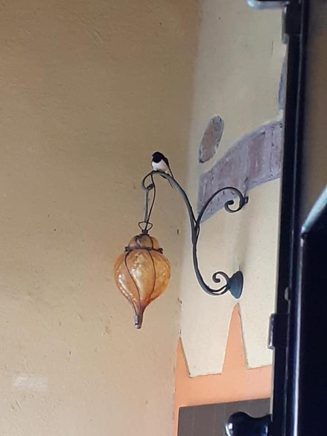 Podere I Casaloni - La Casa Nel Bosco Torniella Exterior foto
