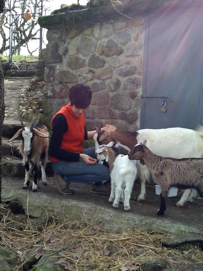 Podere I Casaloni - La Casa Nel Bosco Torniella Exterior foto