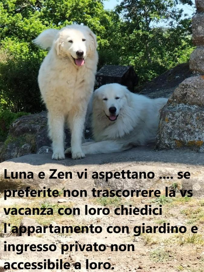 Podere I Casaloni - La Casa Nel Bosco Torniella Exterior foto