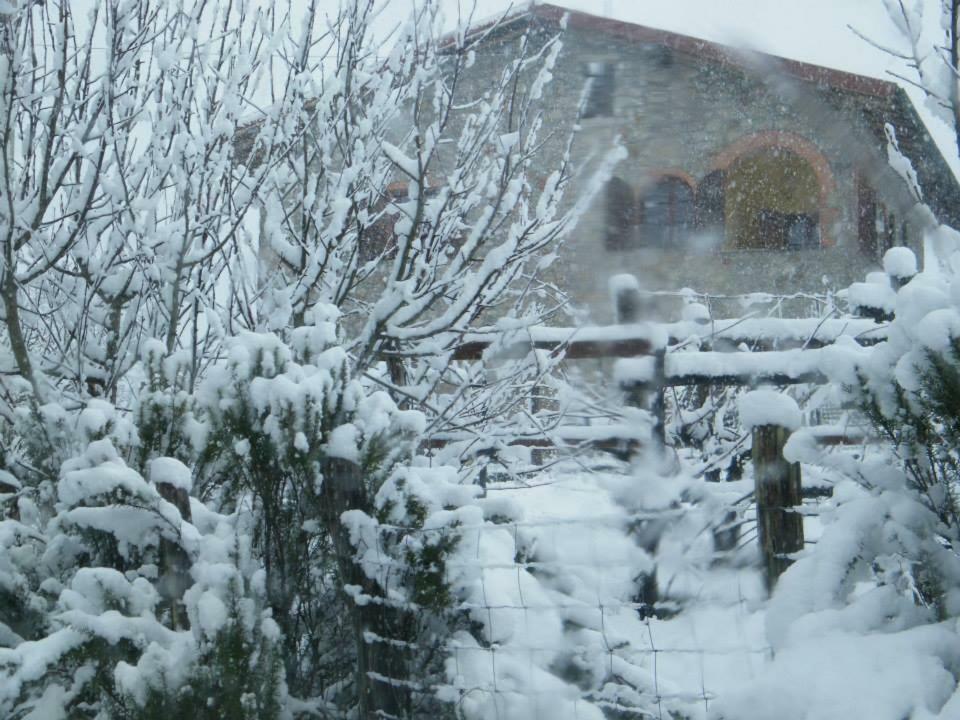 Podere I Casaloni - La Casa Nel Bosco Torniella Exterior foto