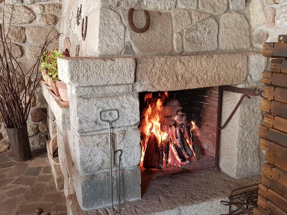 Podere I Casaloni - La Casa Nel Bosco Torniella Exterior foto