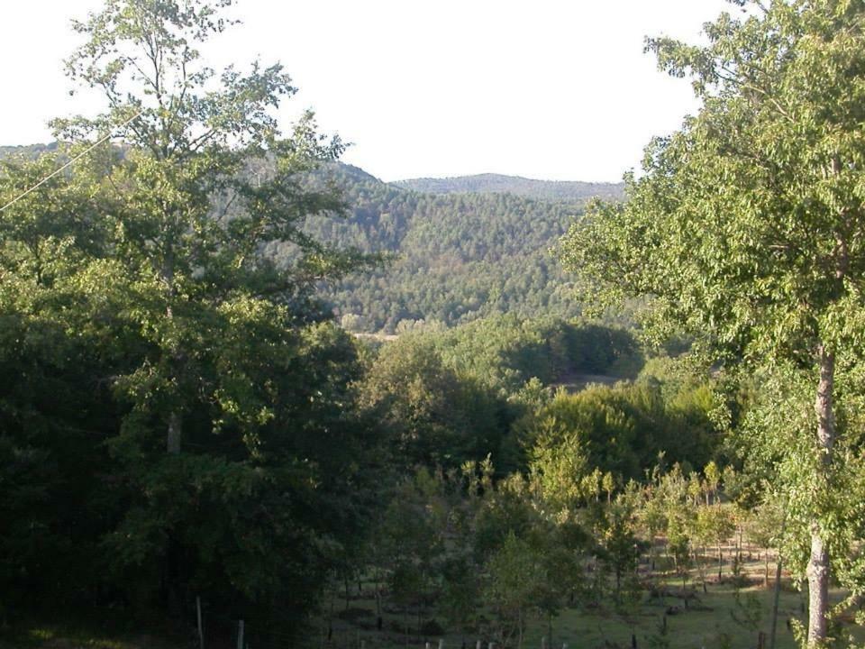 Podere I Casaloni - La Casa Nel Bosco Torniella Exterior foto